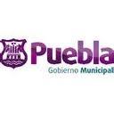 Click to enlarge Liga de natación LOBOS BUAP 2015