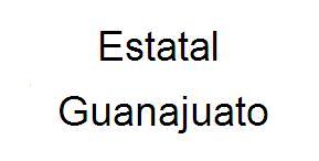 Click to enlarge Estatal Curso Corto 2012 Infantil - Guanajuato