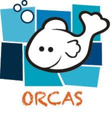 5ta fase del Circuito Orcas 2013 - En Escuela de Natacion Morsas