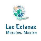 Las Estacas Natacion - 18 de Agosto - Morelos Estacas