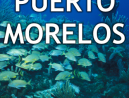 Ruta del Arrecife - VII Maratón de Aguas Abiertas