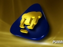 Próximamente: Copa Puma Máster 2012