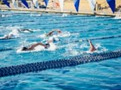 Piscina el medio que hace posible realizar las competencias de natación.